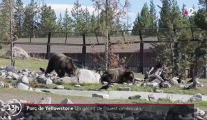 États-Unis : à la découverte du parc de Yellowstone