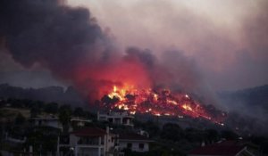 De violents incendies de pinèdes ravagent le sud de la Grèce