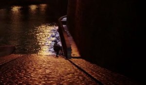 Une sirène à Paris - Vidéo à la Demande