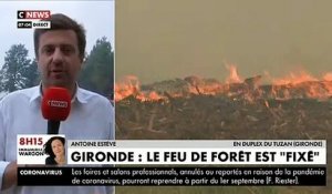 Un feu de forêt, le plus important de l'année à ce jour en Gironde a détruit près de 200 hectares de pins dans le sud du département