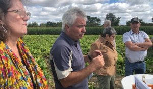 Les agriculteurs ornais inquiets face à la sécheresse