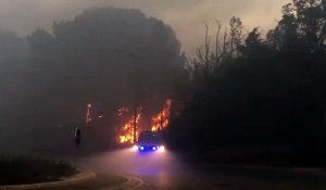 Feu à Port-de-Bouc : Plus de 50 hectares de broussailles ravagés par les flammes