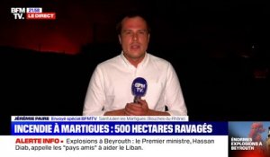 Incendie à Martigues: près de 640 hectares ravagés, plus de 1000 pompiers mobilisés