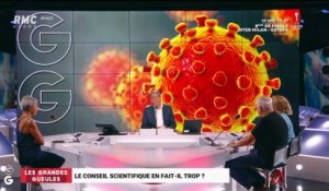 Crainte d'une "supercontamination" : le Conseil scientifique en fait-il trop ? - 05/08