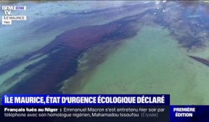 Île Maurice: face à la menace de marée noire, des habitants se mobilisent pour protéger la côte