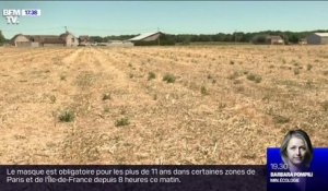 Un des sept silos de cet agriculteur du Loiret reste vide à cause de la sécheresse