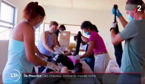 Ile Maurice : des habitants se font couper les cheveux pour lutter contre la marée noire