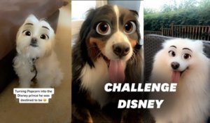 Le #dogdisneychallenge cartonne sur TikTok