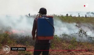 Environnement : l’Amazonie brûle et le gouvernement brésilien regarde ailleurs
