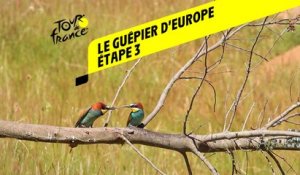Tour de France 2020 : Étape 3 - Le guêpier d’Europe