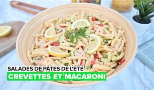 Salades de pâtes d'été : crevette et macaroni