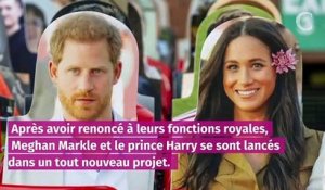 Meghan et Harry : leurs ambitions hollywoodiennes