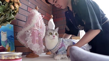 Chat Botte Une Styliste Chinoise Cree Des Habits Pour Animaux