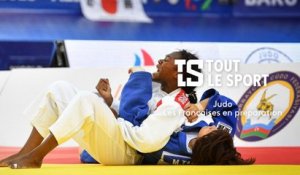 Judo féminin : les tricolores en préparation