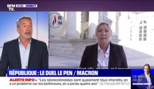 150 ans de la République: Marine Le Pen devance Emmanuel Macron en publiant une vidéo