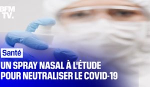 Un spray nasal à l'étude pour neutraliser le Covid-19 avant qu'il nous infecte