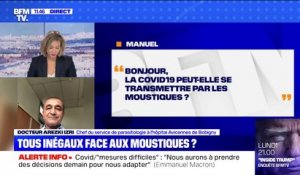 Sommes-nous tous inégaux face aux moustiques ? BFMTV répond à vos questions