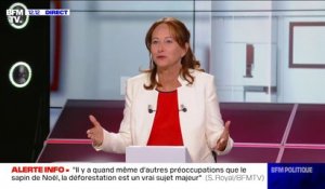 "C'est consternant": Ségolène Royal réagit aux propos polémiques de Nicolas Sarkozy