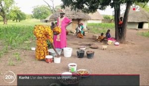 Sénégal : le karité fait travailler et vivre les femmes