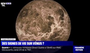 Des signes de vie dans les nuages de Vénus ?