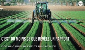 L'Union européenne a autorisé l'exportation de pesticides toxiques qu'elle a pourtant interdit