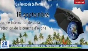 RTG / Célébration de la 35ème journée mondiale de la protection de la couche d’ozone au Gabon
