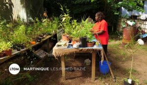 Martinique : Les Rimed Razié