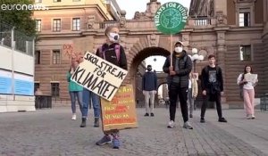 Reprise des "grèves" des jeunes pour le climat