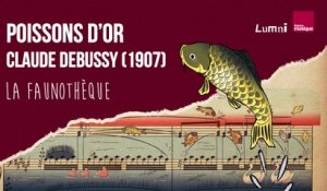 Debussy : Poisson d'or - La Faunothèque