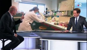 Coronavirus : un traitement "prometteur" évoqué par l’Institut Pasteur de Lille