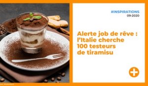 Alerte job de rêve : l’Italie cherche 100 testeurs de tiramisu