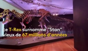 Science : nouveau record atteint pour la vente d’un T-Rex