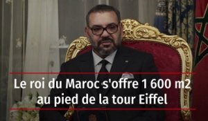 Le roi du Maroc s'offre 1 600 m2 au pied de la tour Eiffel