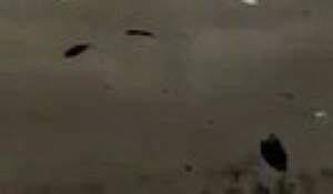Rase motte à 2m du sol d'un avion de chasse en Ukraine