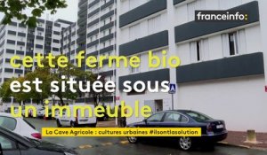 À Bordeaux, une ferme urbaine prend vie sous les immeubles