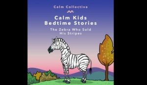 Calm Collective - The Zebra Who Sold his Stripes