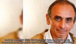 Eric Zemmour et ses propos sur les mineurs isolés - le comité d’éthique de Canal+ saisi