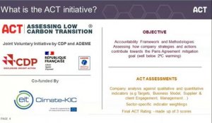 ACT – Assessing low Carbon Transition new methodologies development (Chemicals, Pulp & Paper, Glass and Aluminium.