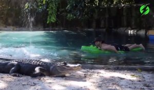 Il se baigne avec 2 crocodiles dans sa piscine