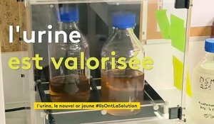 En Gironde, une start-up transforme l’urine humaine en fertilisant agricole