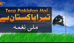 Tera Pakistan Hai Yeh Mera | 14 August 2020 | Special Mili Naghma
