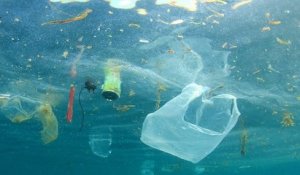 Avec 229 000 tonnes de déchets plastiques récupérées chaque année, la Méditerranée est une véritable décharge
