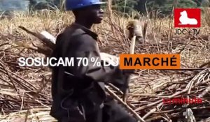 La Minute du Savoir  - #02 - La consommation du sucre au Cameroun