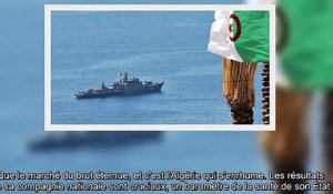 Algérie _ la rente pétrolière en chute libre