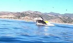 Deux kayakistes se retrouvent dans la gueule d'une baleine