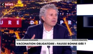 Gilles-William Goldnadel : «Je ne trouve pas liberticide la proposition des académiciens, même si je n’y souscris pas»