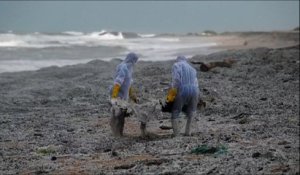 Sri Lanka : une marée de plastique sur les plages après l’incendie d’un porte-conteneurs