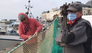 Inquiétudes autour de la pêche à la coquille
