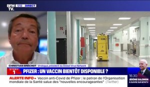 Vaccin anti-Covid: "L'essai n'est pas terminé, il faut sûrement encore quelques semaines avant de finir", selon le virologue Christian Bréchot