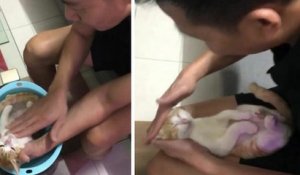 Dans une vidéo adorable, un homme montre à son fils comment baigner son bébé en utilisant un chat comme exemple